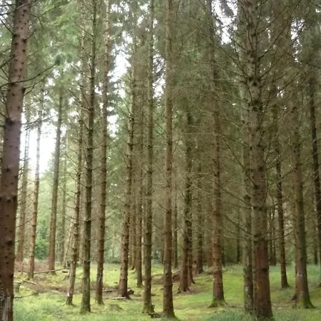 Διαμέρισμα Shannon Oaks