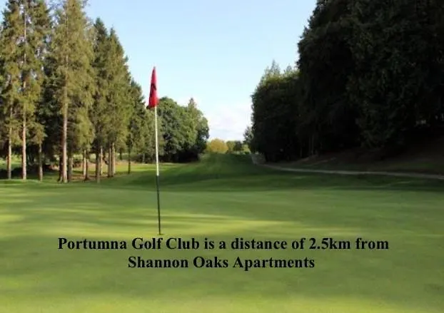 Апартаменты Shannon Oaks